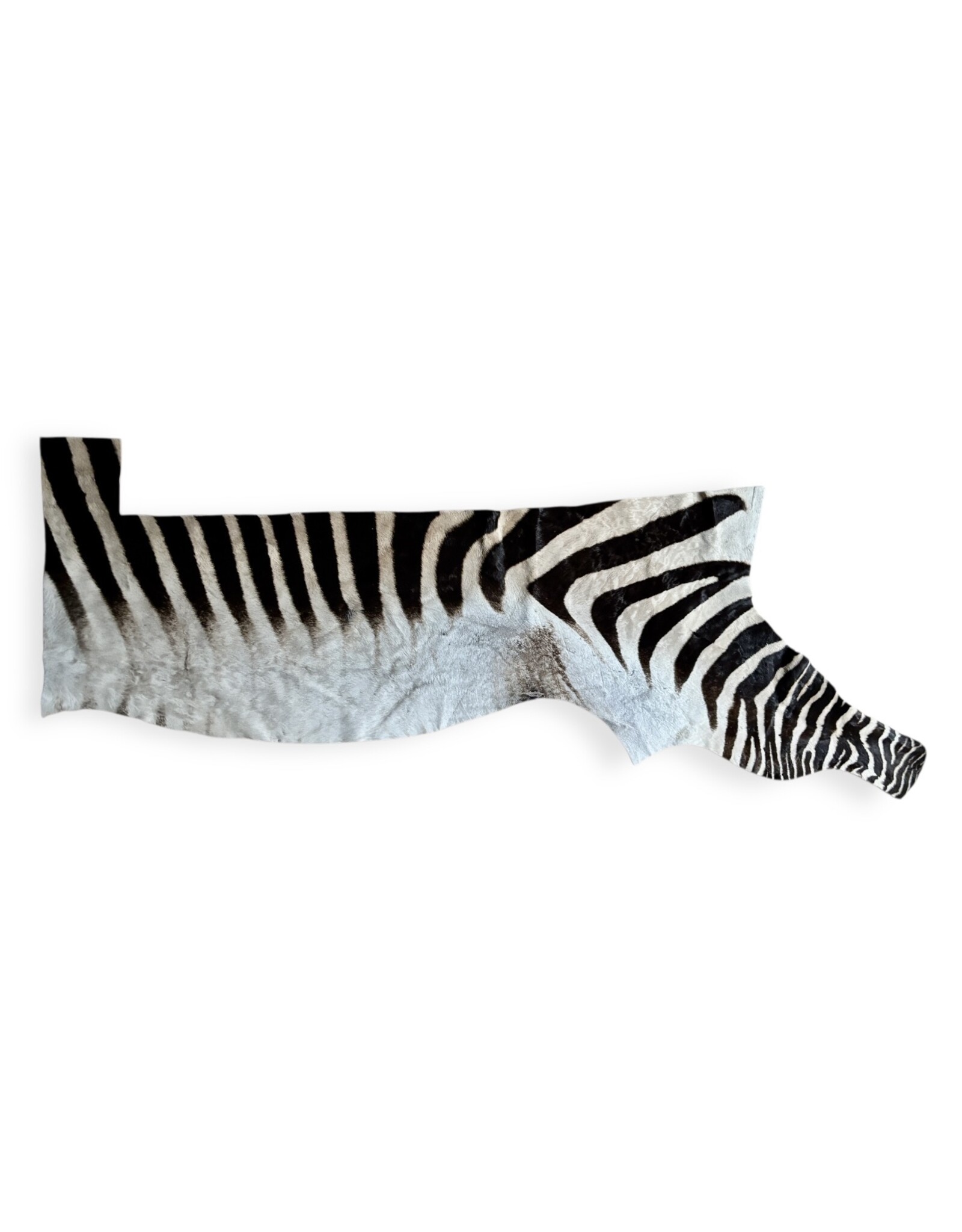 Real zebra skin remnant for further processing R073