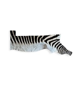 Zebrafell  Reststück XXL R077