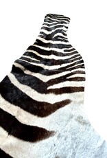 Real zebra skin remnant for further processing R073