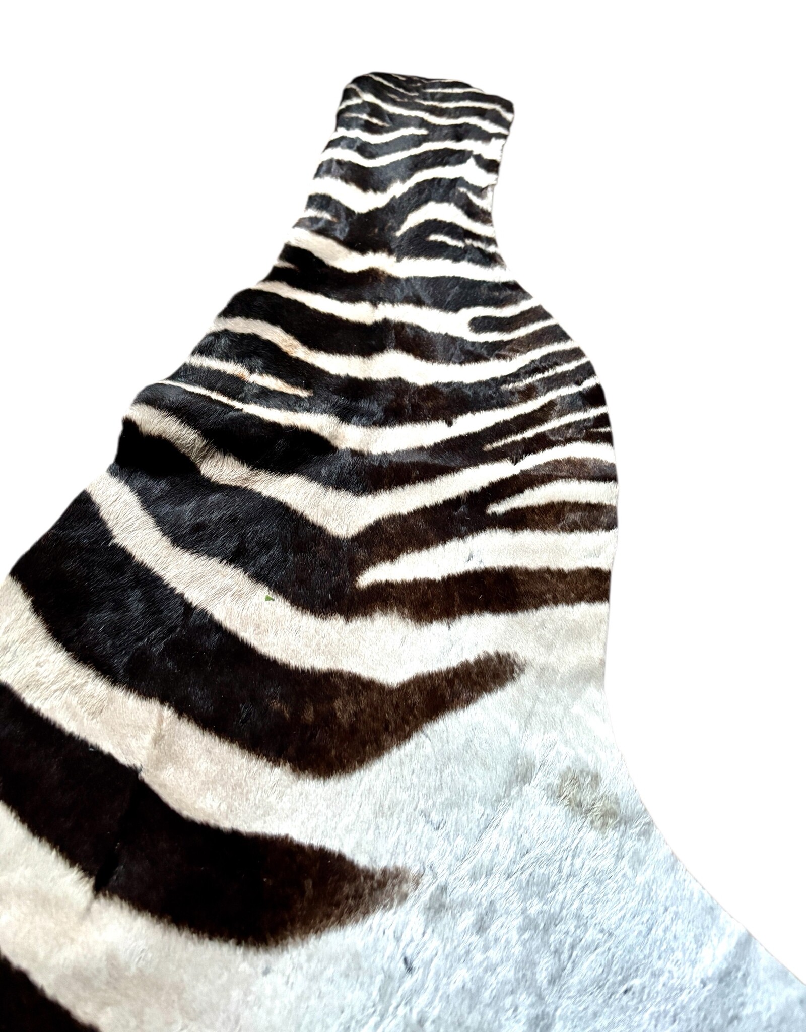 Real zebra skin remnant for further processing R073