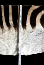 Real zebra skin remnant for further processing R073