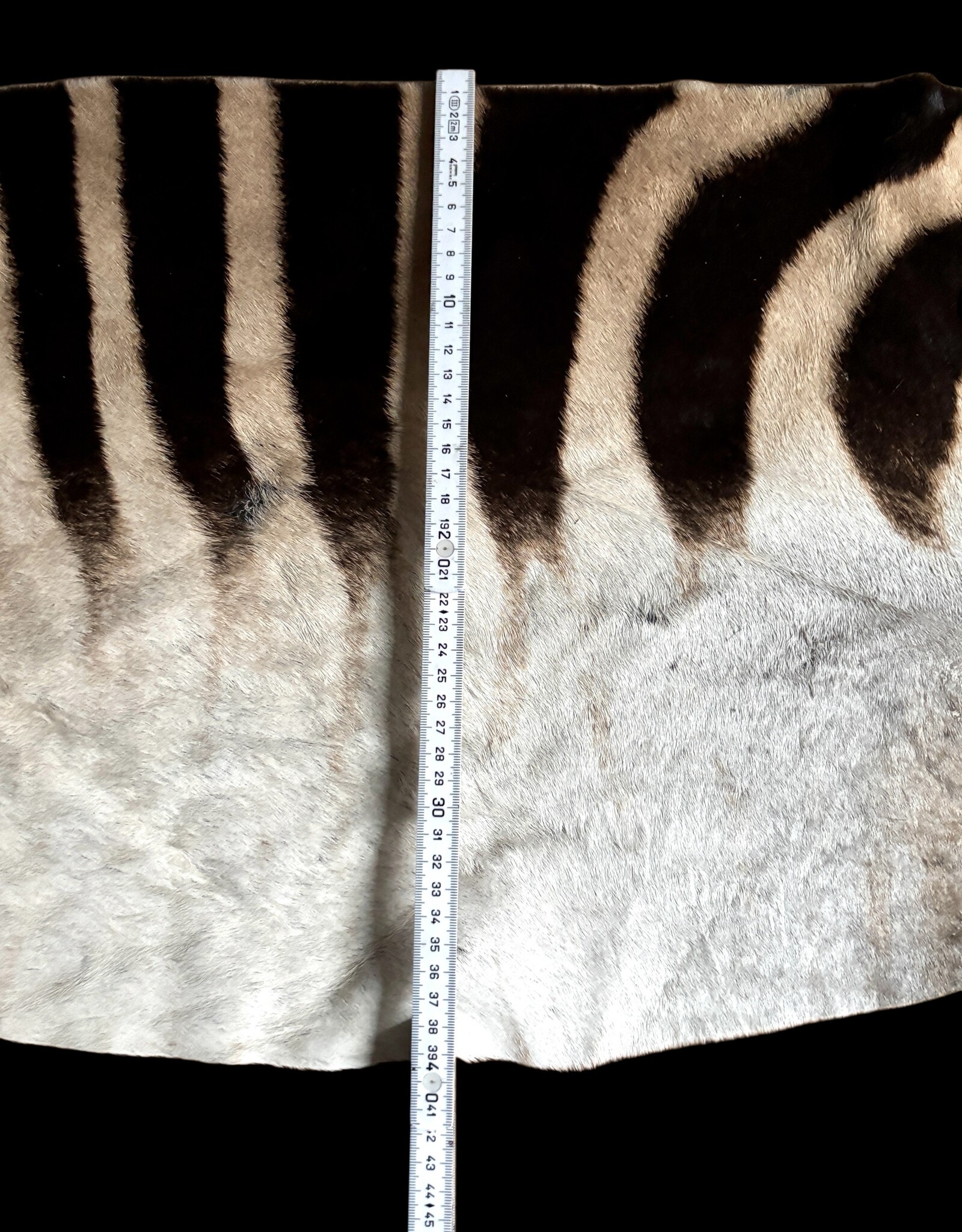 Real zebra skin remnant for further processing R073