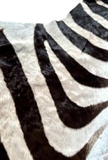 Real zebra skin remnant for further processing R073