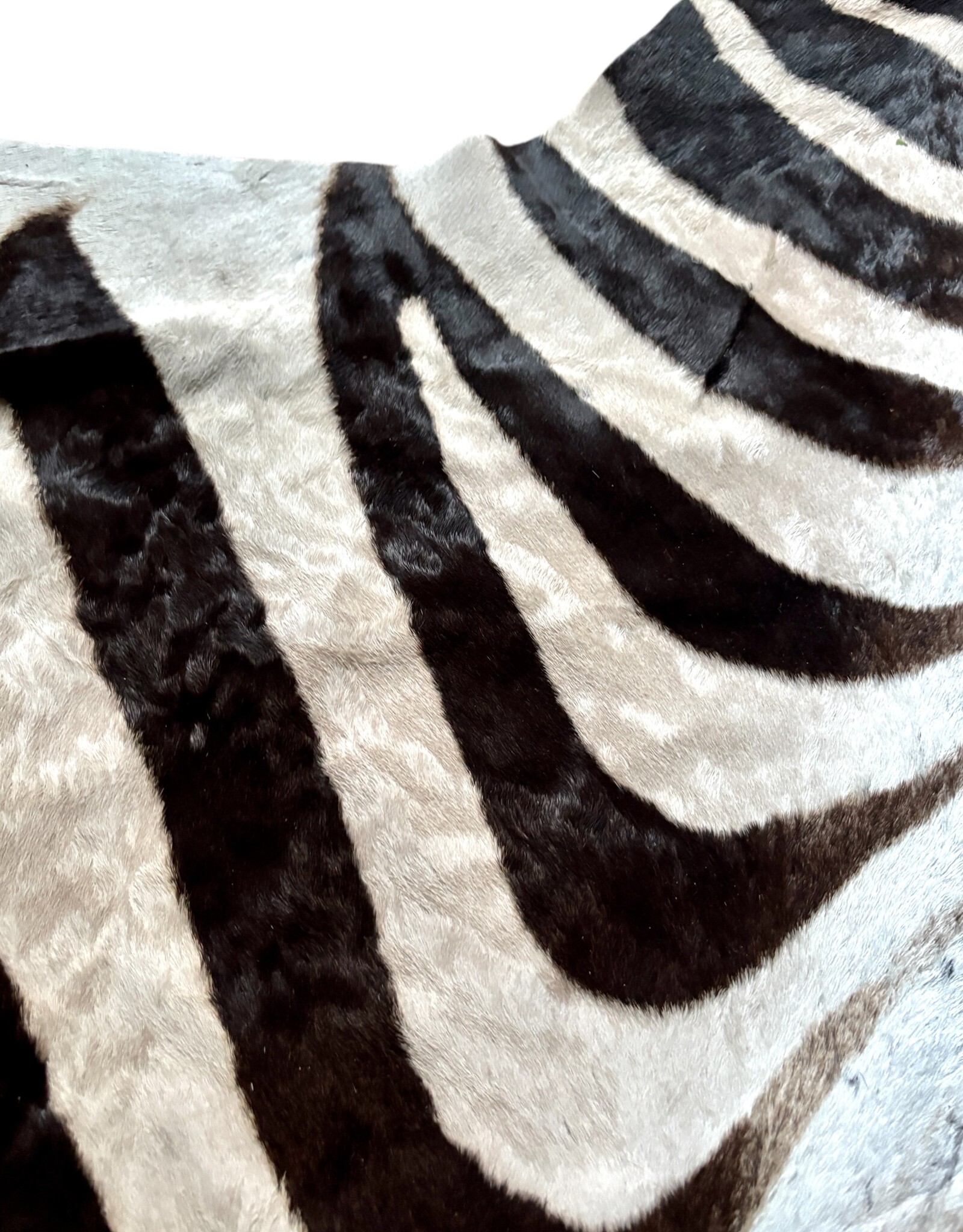 Real zebra skin remnant for further processing R073