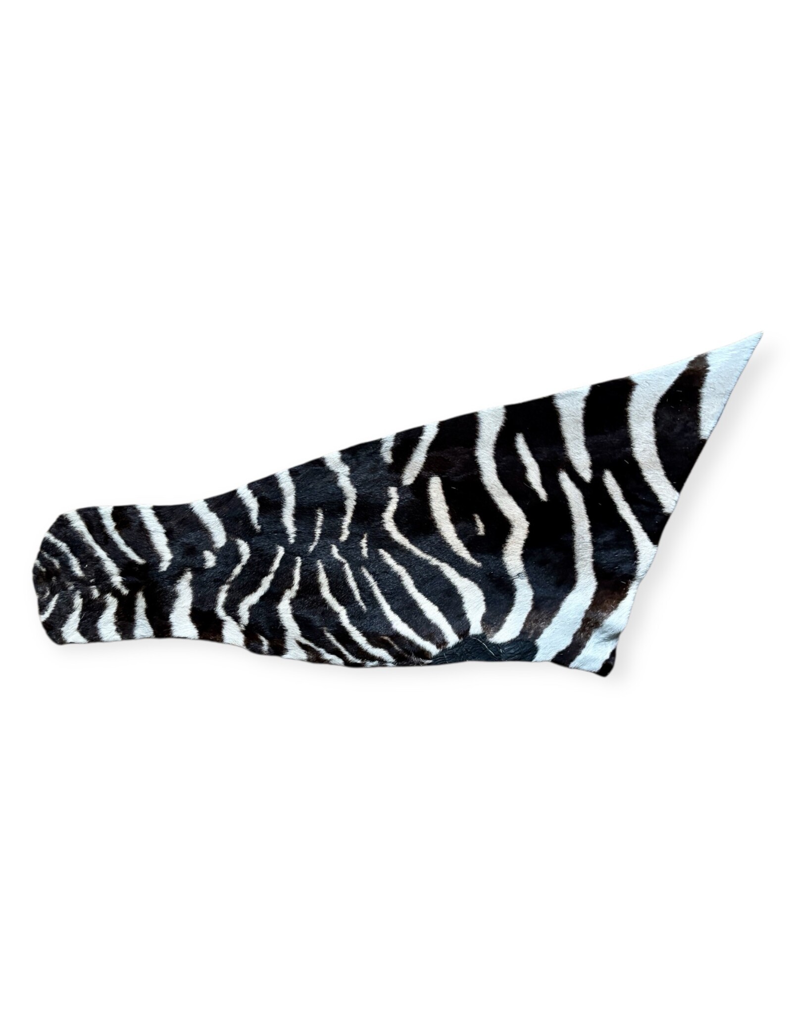 Real zebra skin remnant for further processing R078