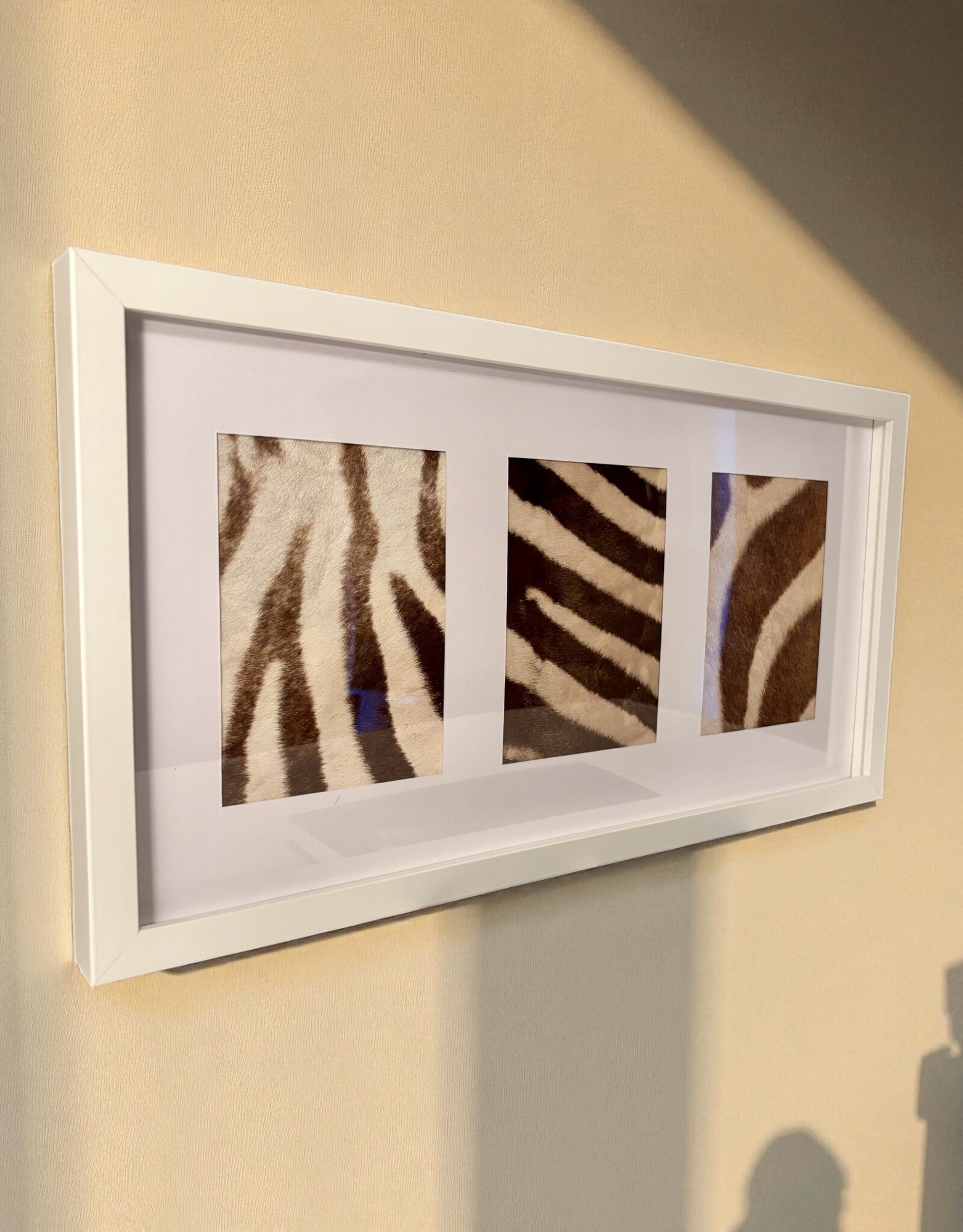 White Frame with Genuine Zebra Hide – Elegant & Unique