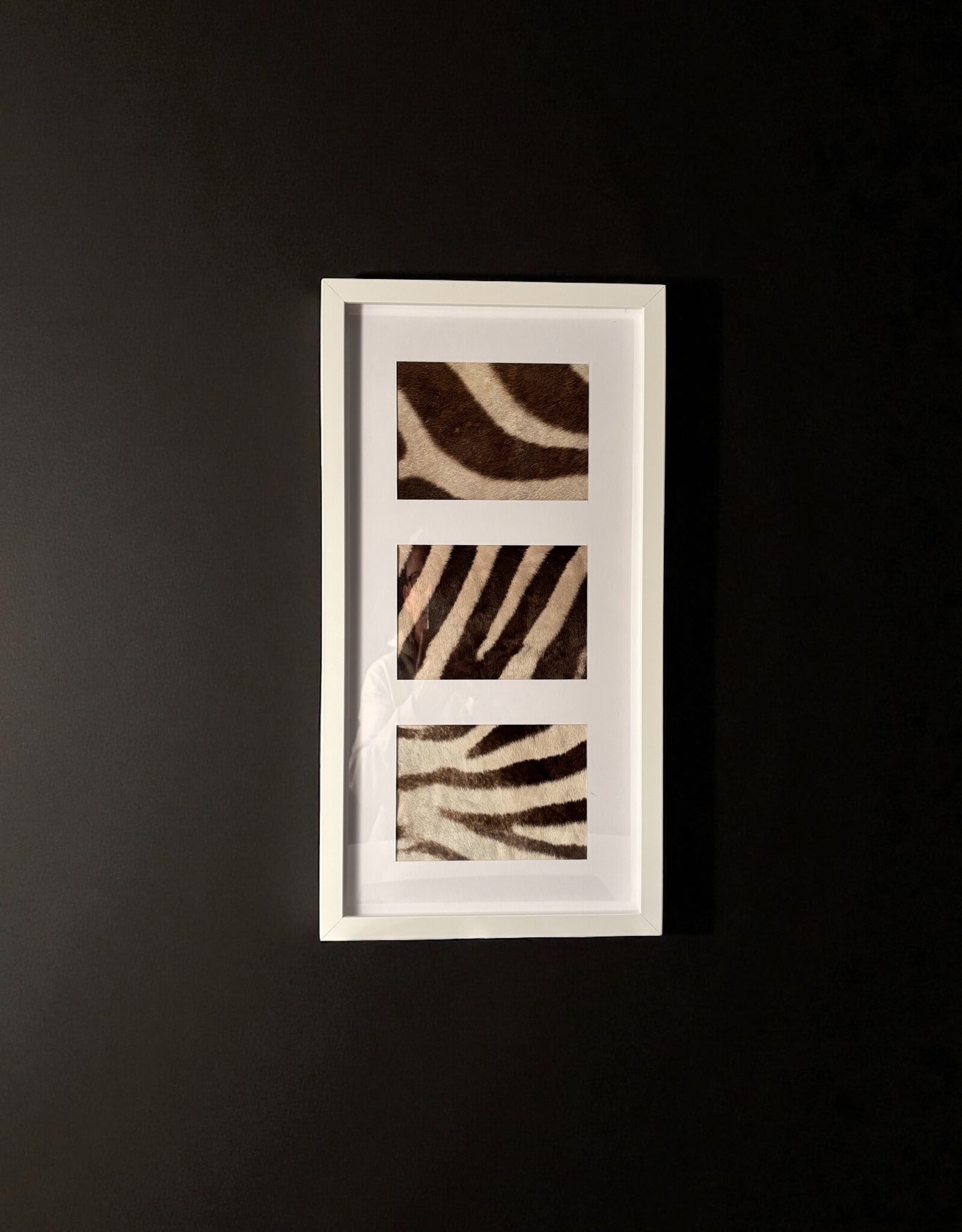 Weißer 3er Bilderrahmen mit echtem Zebrafell – stilvoll & einzigartig 57cm x 30cm