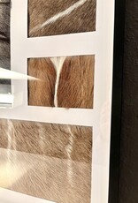 African Hide Art – Unique Piece of Springbok, Kudu & Gnu