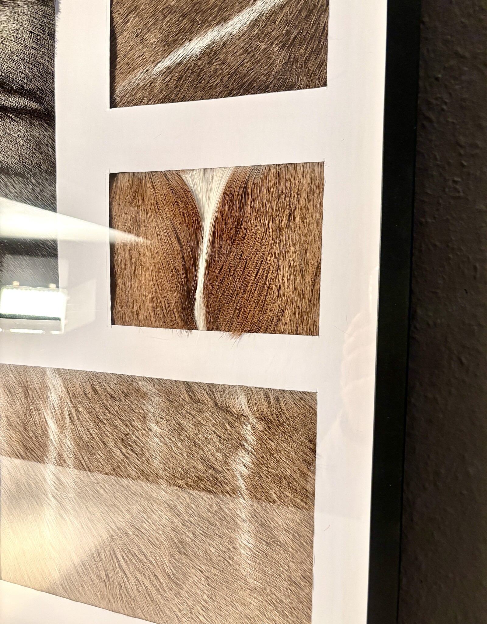 African Hide Art – Unique Piece of Springbok, Kudu & Gnu