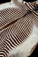 Grevy Zebra Rug XL Capetown