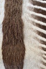 Exklusives Grevy-Zebra-Fell – seltenes Sammlerstück mit EU-Vermarktungsbescheinigung