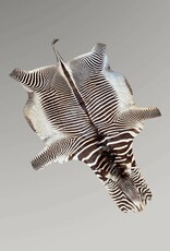 Grevy Zebra Rug XL Capetown