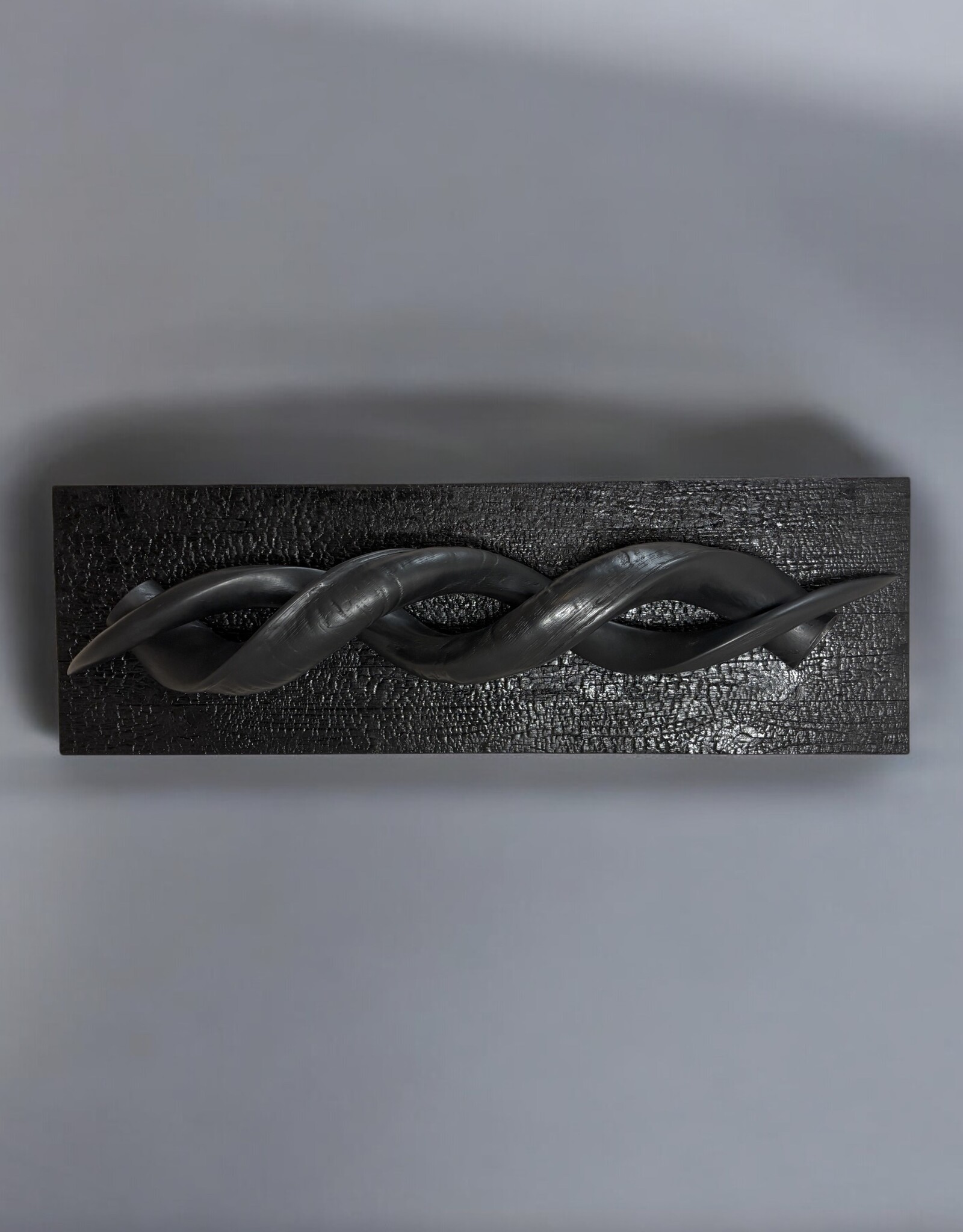 Design Object with Genuine Kudu Horns – Mounted on Burnt Wood