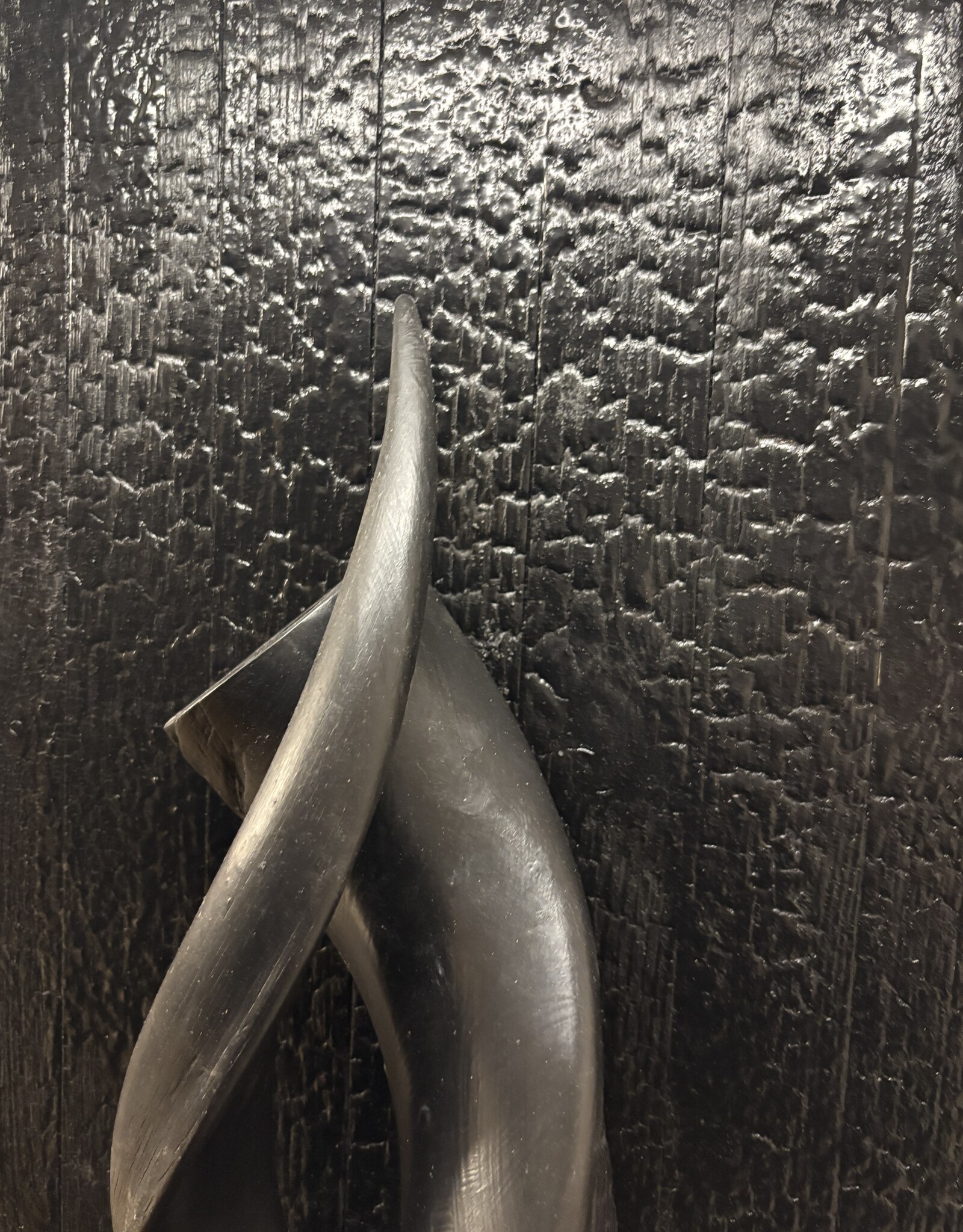 Design Object with Genuine Kudu Horns – Mounted on Burnt Wood