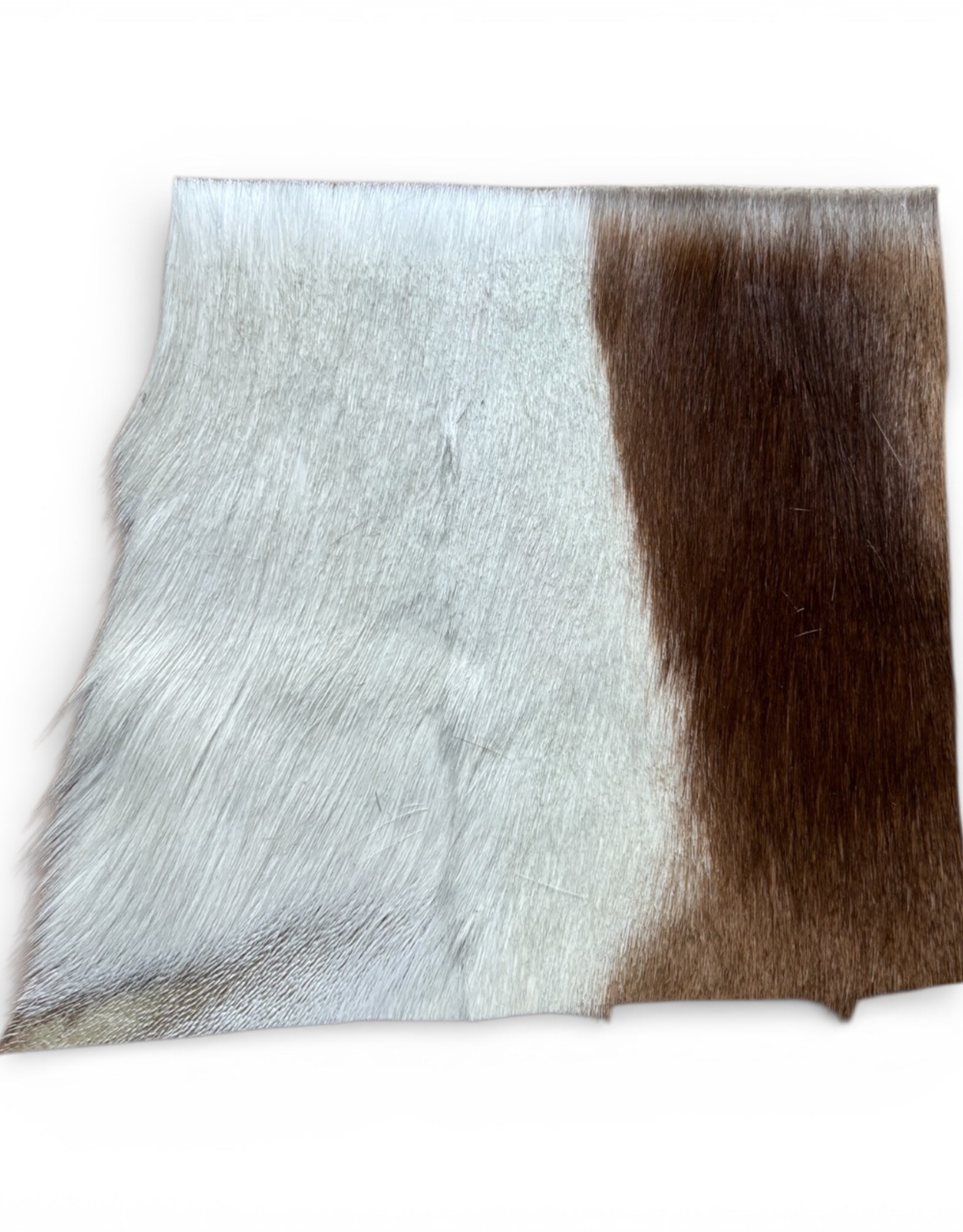 Springbok fur remnant R060