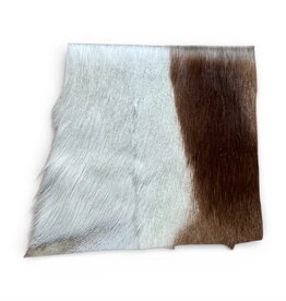 Springbok fur remnant R060
