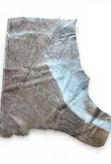 Kudu remnant with nice stripes R061