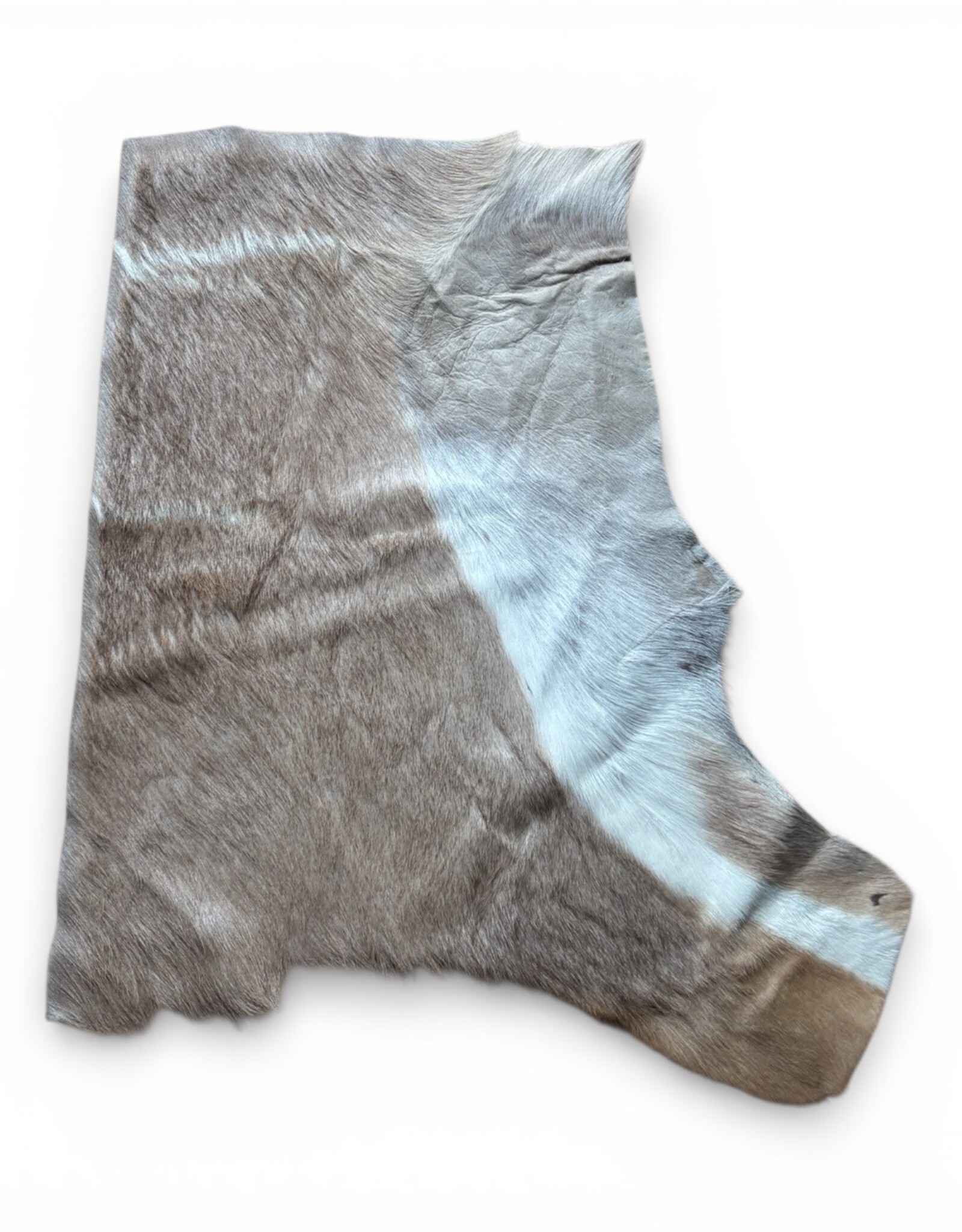 Kudu remnant with nice stripes R061