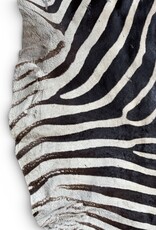Steppen oder Burchell Zebrafell M385 Zebrafell  gebraucht