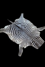 Steppen or Burchell zebra skin M385 Zebra skin  used