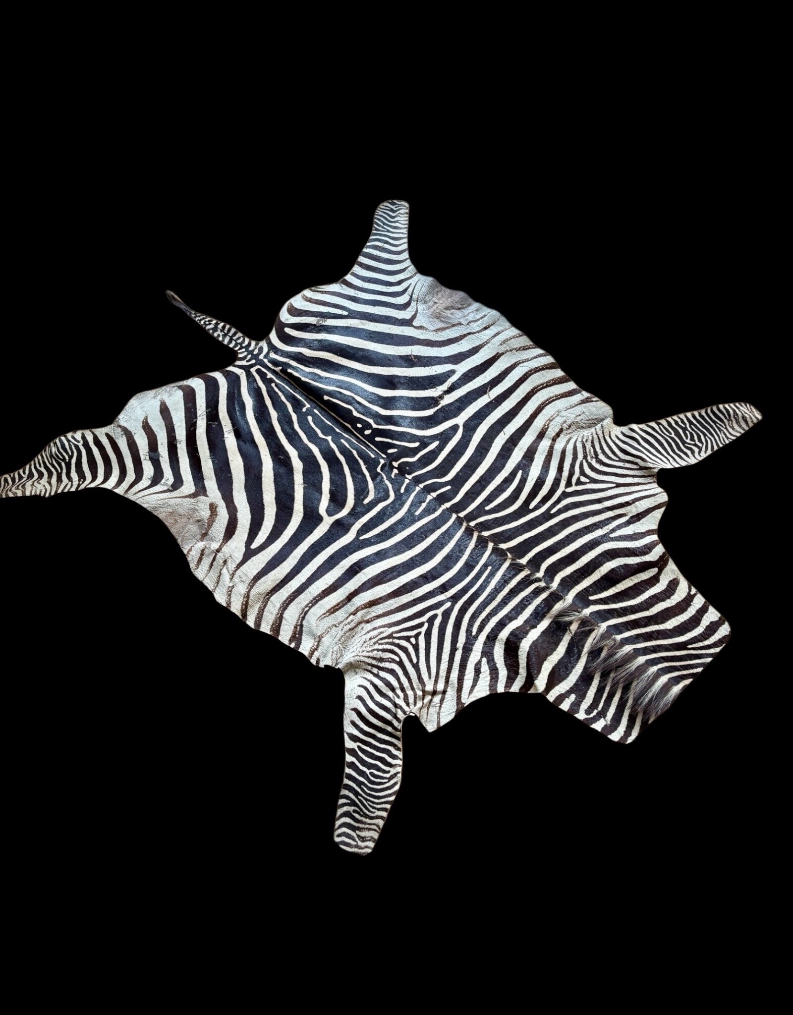 Steppen oder Burchell Zebrafell M385 Zebrafell  gebraucht