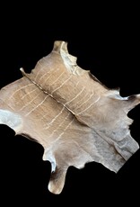 Kudufell KD 22 mit schöner Mähne