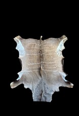 Kuduhide KD22with a beautiful mane