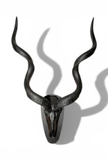 Majestätische Kuduhörner Wanddeko – große matte schwarze Kuduhörner 95 cm, moderne Wandskulptur, afrikanisches Designobjekt