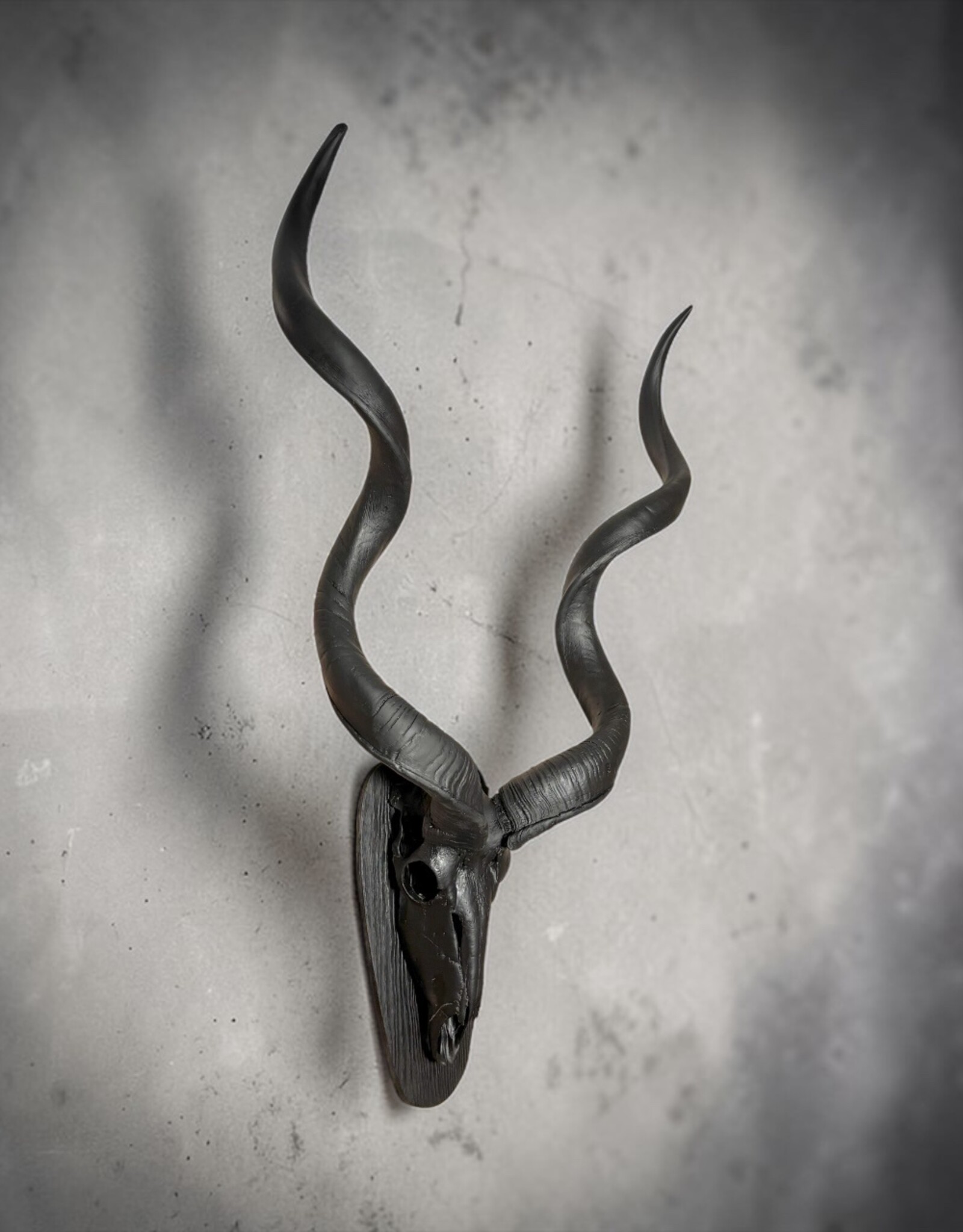 Majestätische Kuduhörner Wanddeko – große matte schwarze Kuduhörner 95 cm, moderne Wandskulptur, afrikanisches Designobjekt
