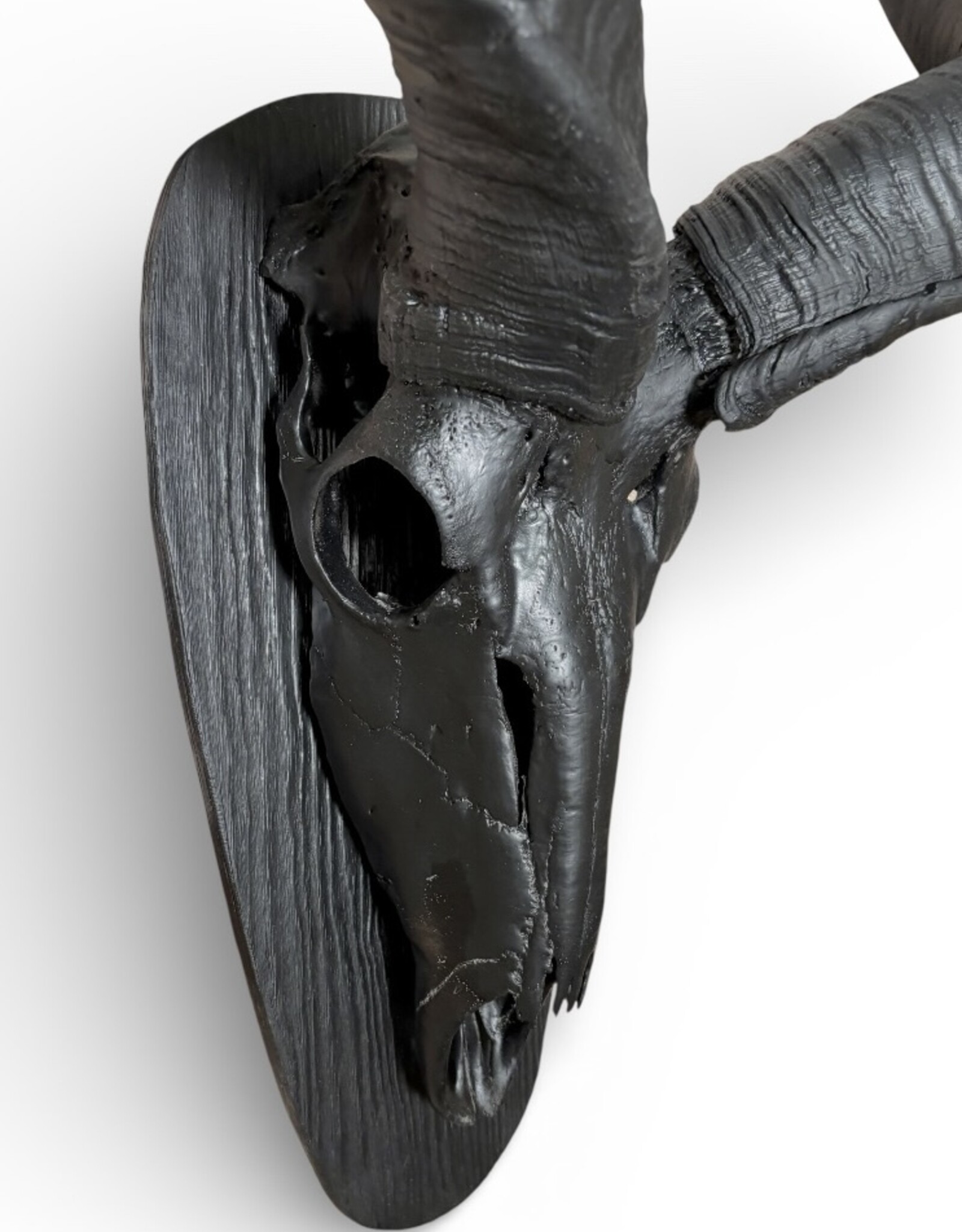 Large Black Kudu Horn Wall Decor – Majestic 95 cm Kudu Horns, Modern African Wall Art, Matte Black Horn Sculpture, Rustic Burnt Wood Mount