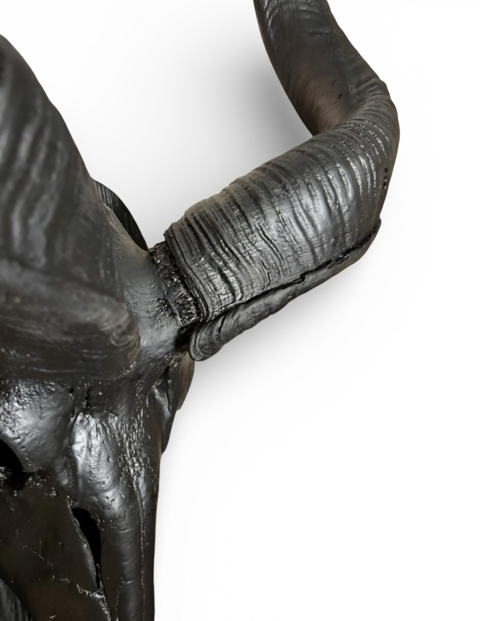 Majestätische Kuduhörner Wanddeko – große matte schwarze Kuduhörner 95 cm, moderne Wandskulptur, afrikanisches Designobjekt