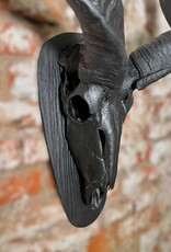 Large Black Kudu Horn Wall Decor – Majestic 95 cm Kudu Horns, Modern African Wall Art, Matte Black Horn Sculpture, Rustic Burnt Wood Mount