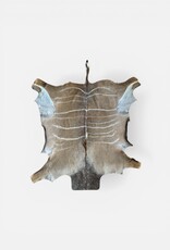 Kudufell KD 27 mit Kratzspuren