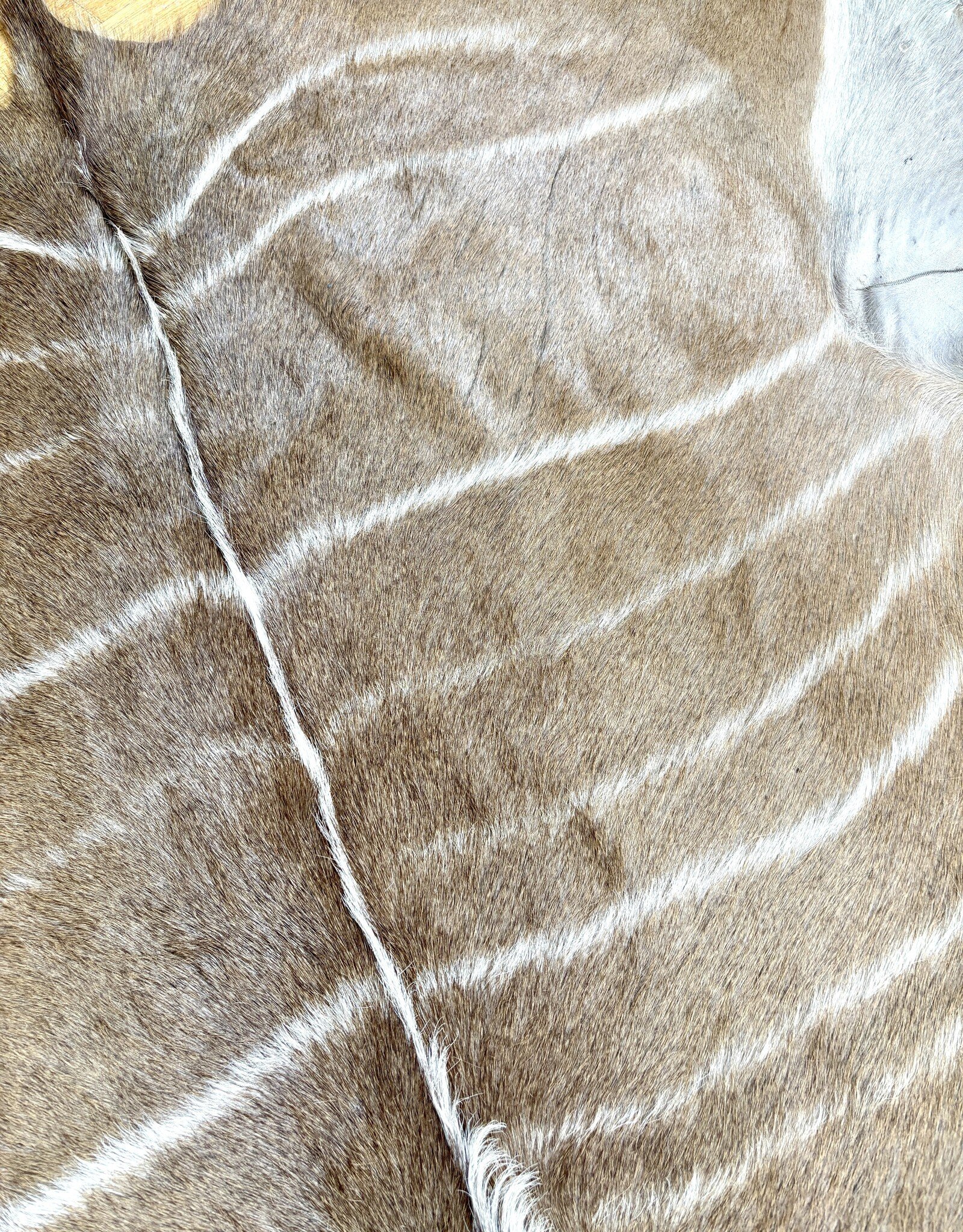 Kudufell KD 27 mit Kratzspuren