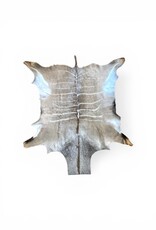 Kuduhide KD024 Very beautiful large kudu skin