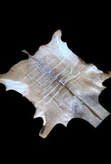 Kuduhide KD024 Very beautiful large kudu skin