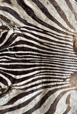 Echtes Zebrafell Reststück zur Weiterverarbeitung    R081