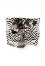 Real zebra skin remnant for further processing perfect for US import R081