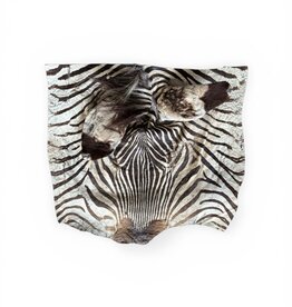 Großes Zebrafell  Reststück R081