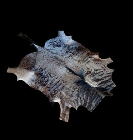 Gnufell MG067 das Schönste Gnufell!