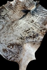 Das schönste und größte Gnufell von allen