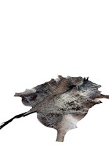 Das schönste und größte Gnufell von allen