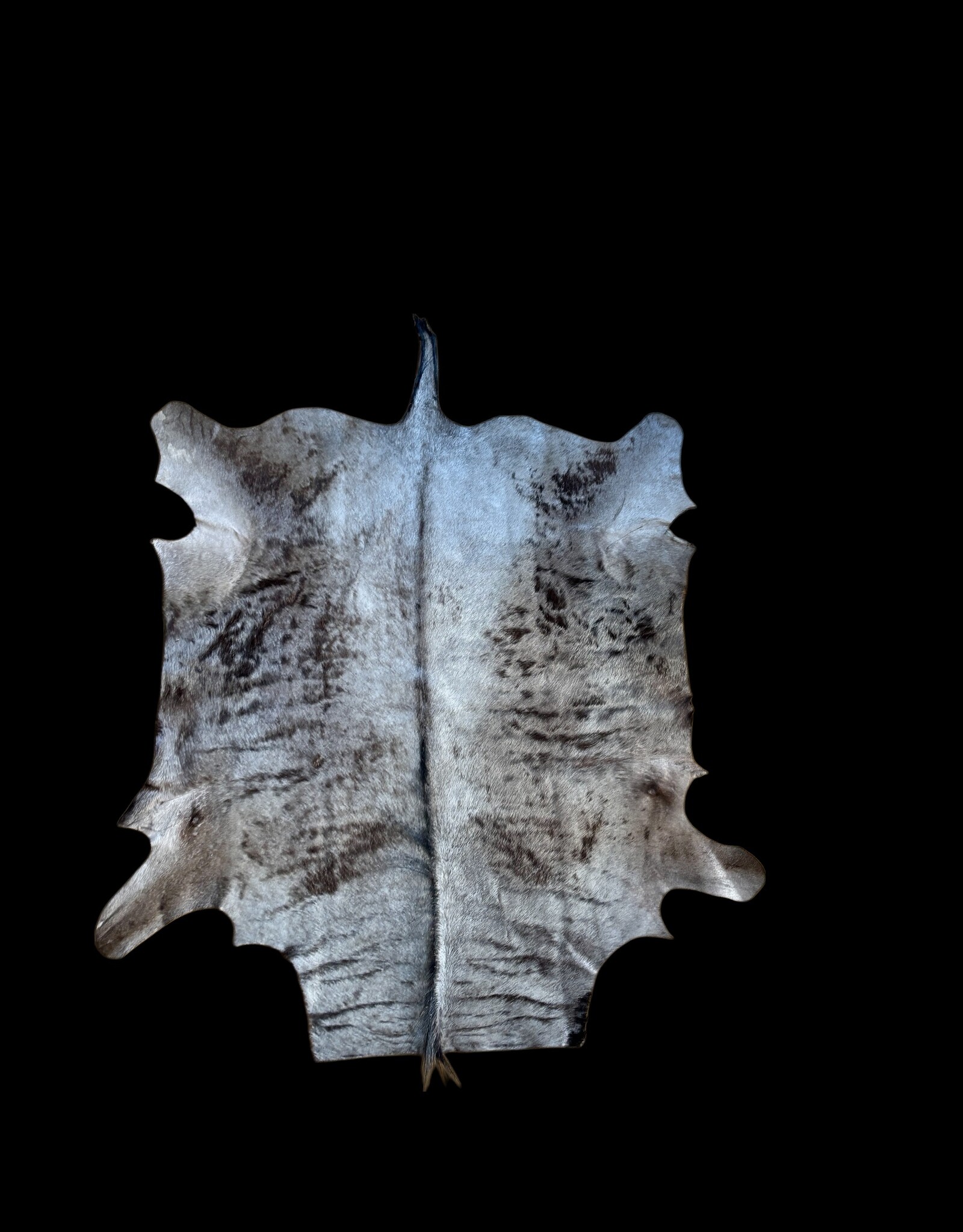 Schönes von der  Größe mittleres Gnufell  MG068