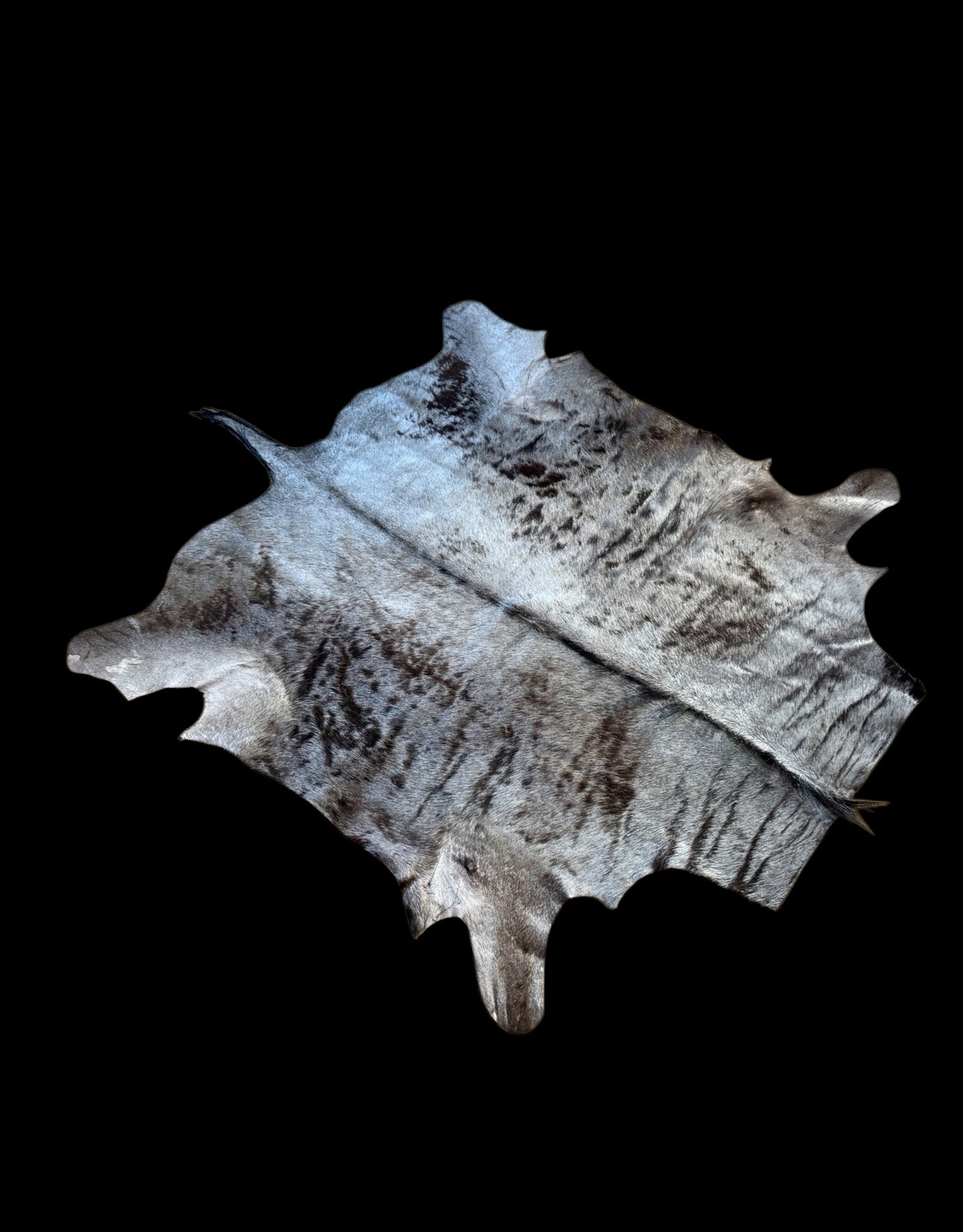 Schönes von der  Größe mittleres Gnufell  MG068