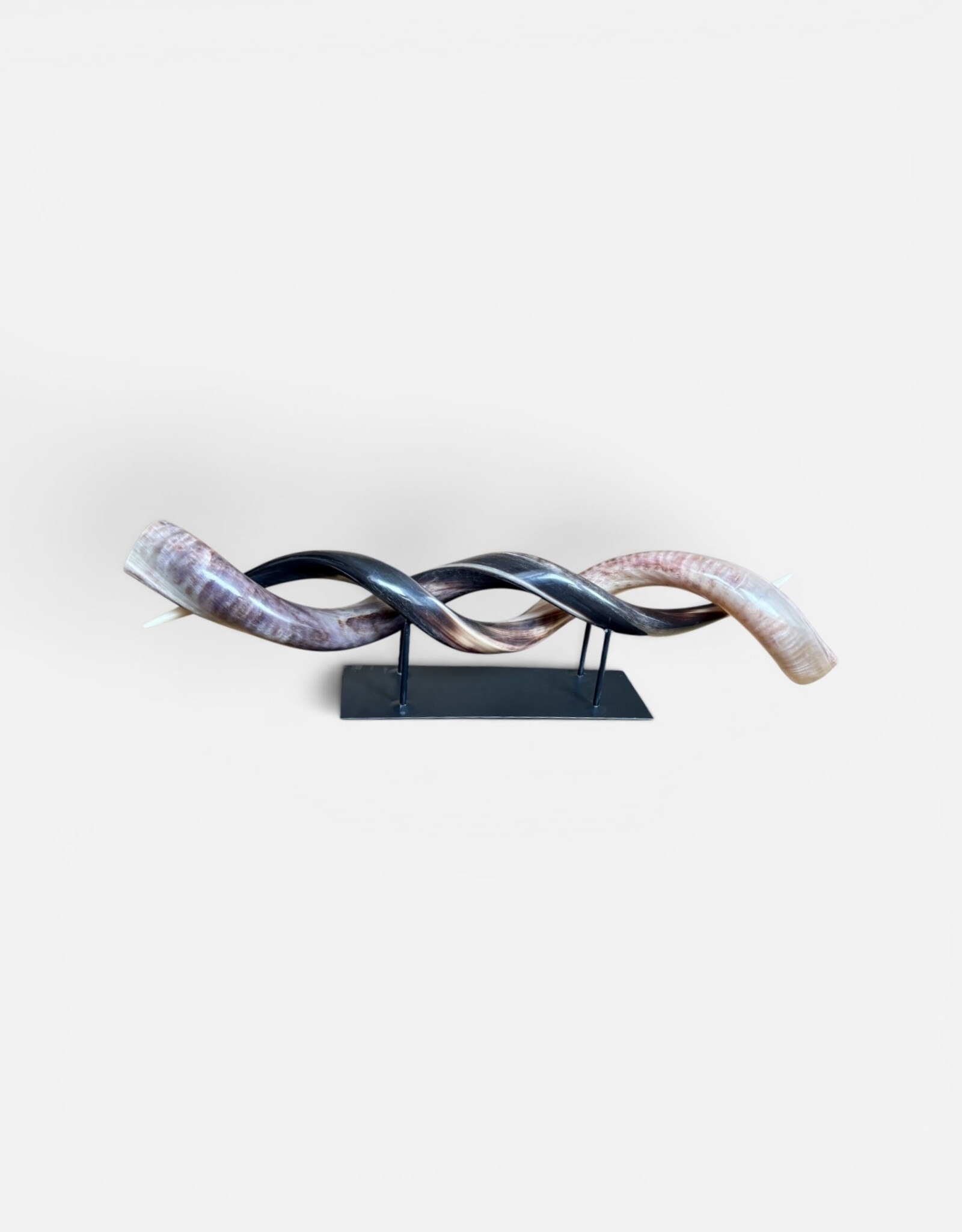 Kudu horn partly ground double on metal stand  - Copy