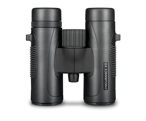 Hawke Endurance ED 8×32 Binocular - black