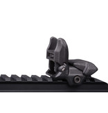 ICS CXP-HOG EBB AEG 1,55 julios - BK