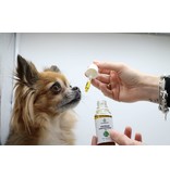 Extrait de chanvre premium pour chiens 10%