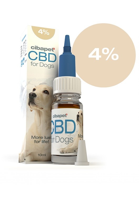 CBD-Öl für Hunde 4%