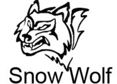 Snow Wolf SW-022 Kar98k Action Bolt Sniper 1.49 Joule - real wood look